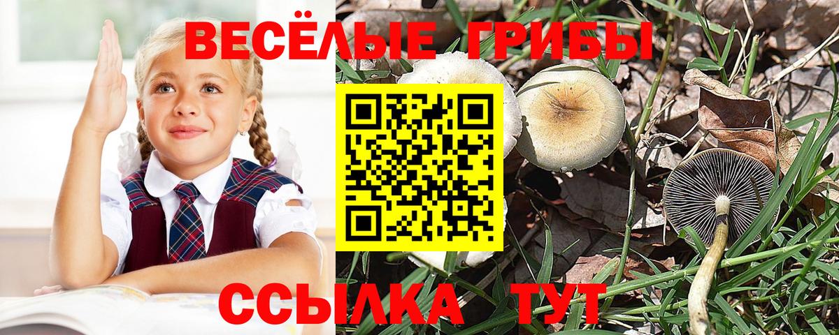 Псилоцибиновые грибы мухоморы Изобильный